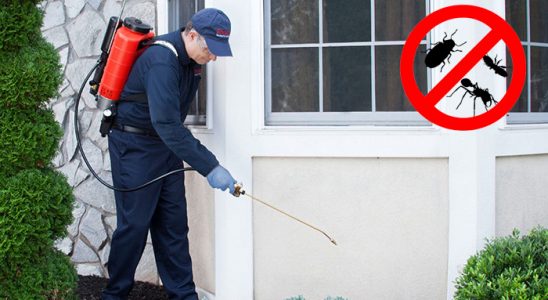 Gemlik Kene İlaçlama böcek ilaçlama ve haşere kontrolü — ilaclama-tr.com